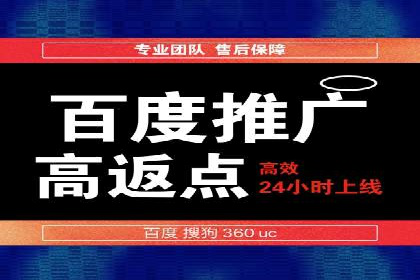 某电商平台的SEM策略与效果展示